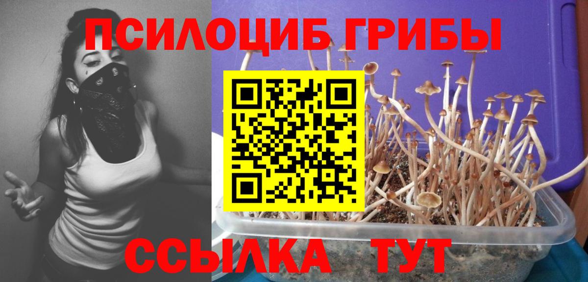 Лыткарино  Псилоцибиновые грибы GOLDEN TEACHER  Вход с VPN 
